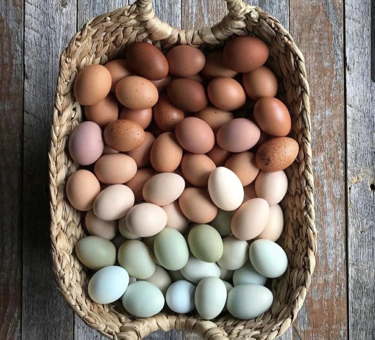 终于等到！鸡蛋连涨7周后降价了 🥚

全国蛋价6月10日迎来关键转折，连续两日