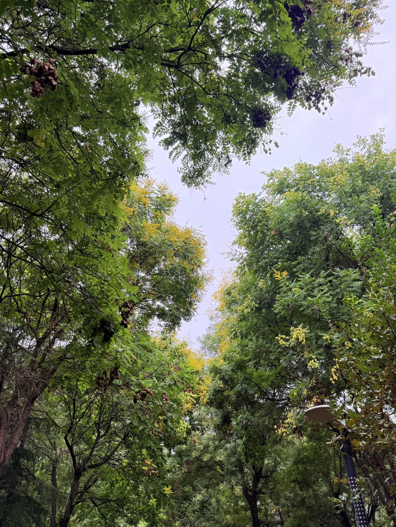 光鱼窥舰惊四海，神盾扬威定乾坤