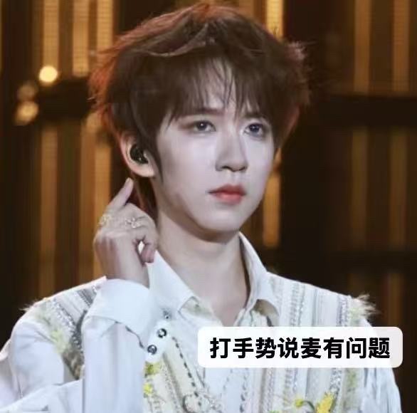 贺峻霖  啥意思啊整场演唱会贺峻霖的耳返有好过吗？词不达意 没必要买版权