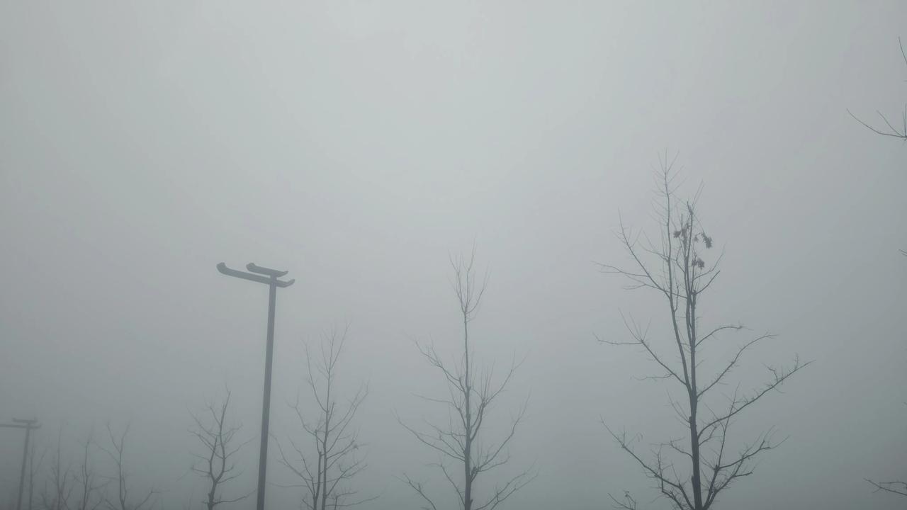 推开窗，故乡的晨雾扑面而来。

这不是北方的干冷薄雾，而是江南特有的、带着湿气的