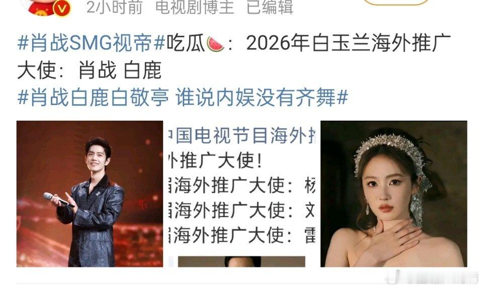 这瓜还是不要吃了，如果只是海外大使的话，建议不要去了，得了这个基本和视帝无缘了 