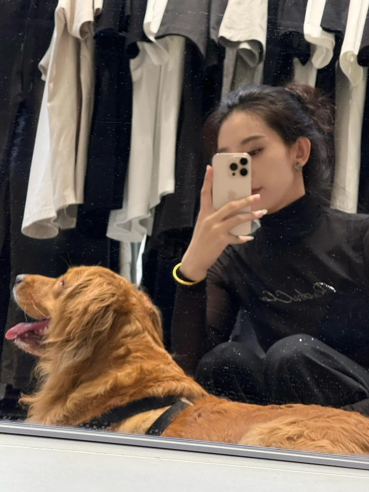 我和我的狗