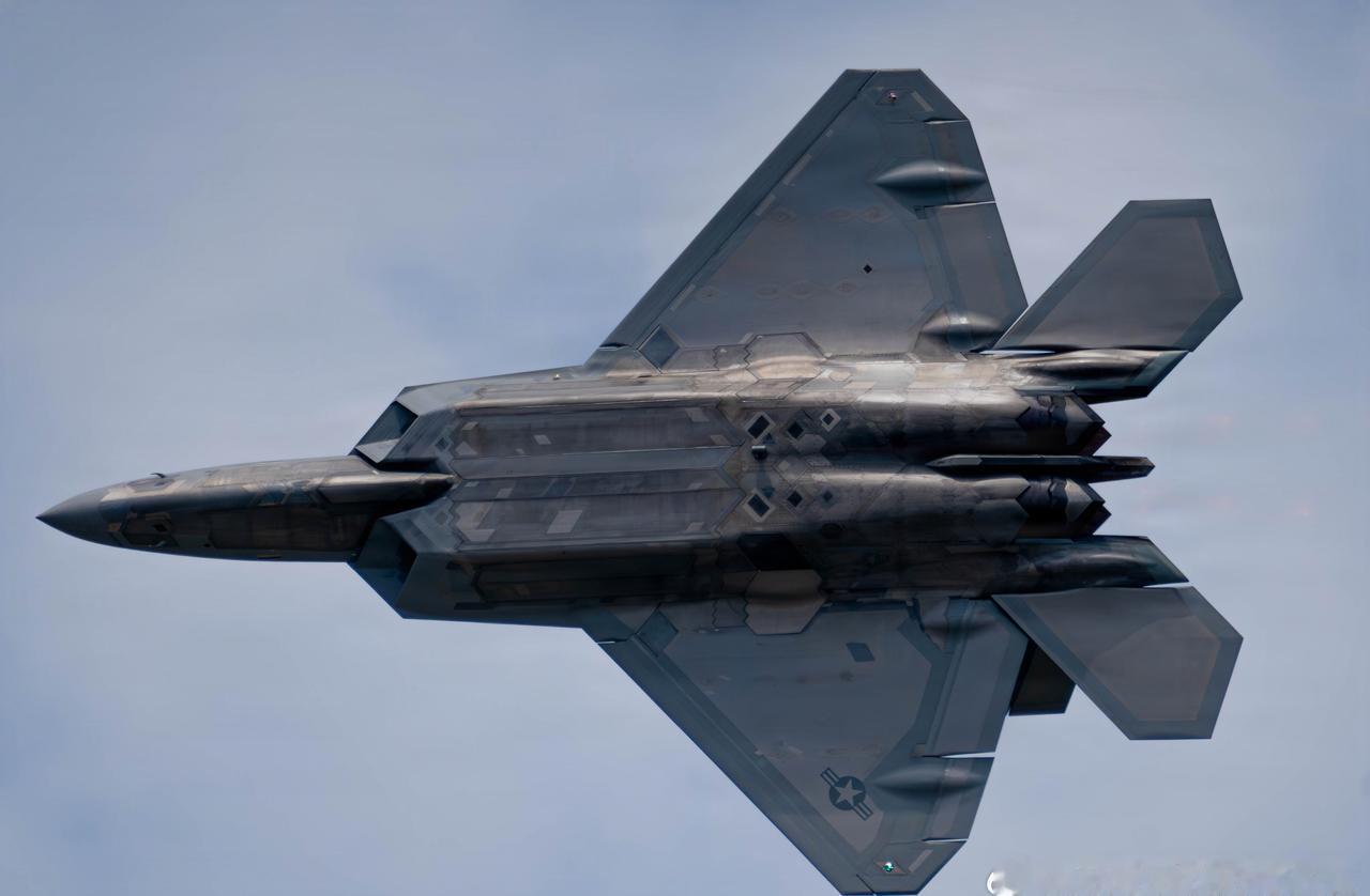 猛禽示范队剪影
1 ​​​