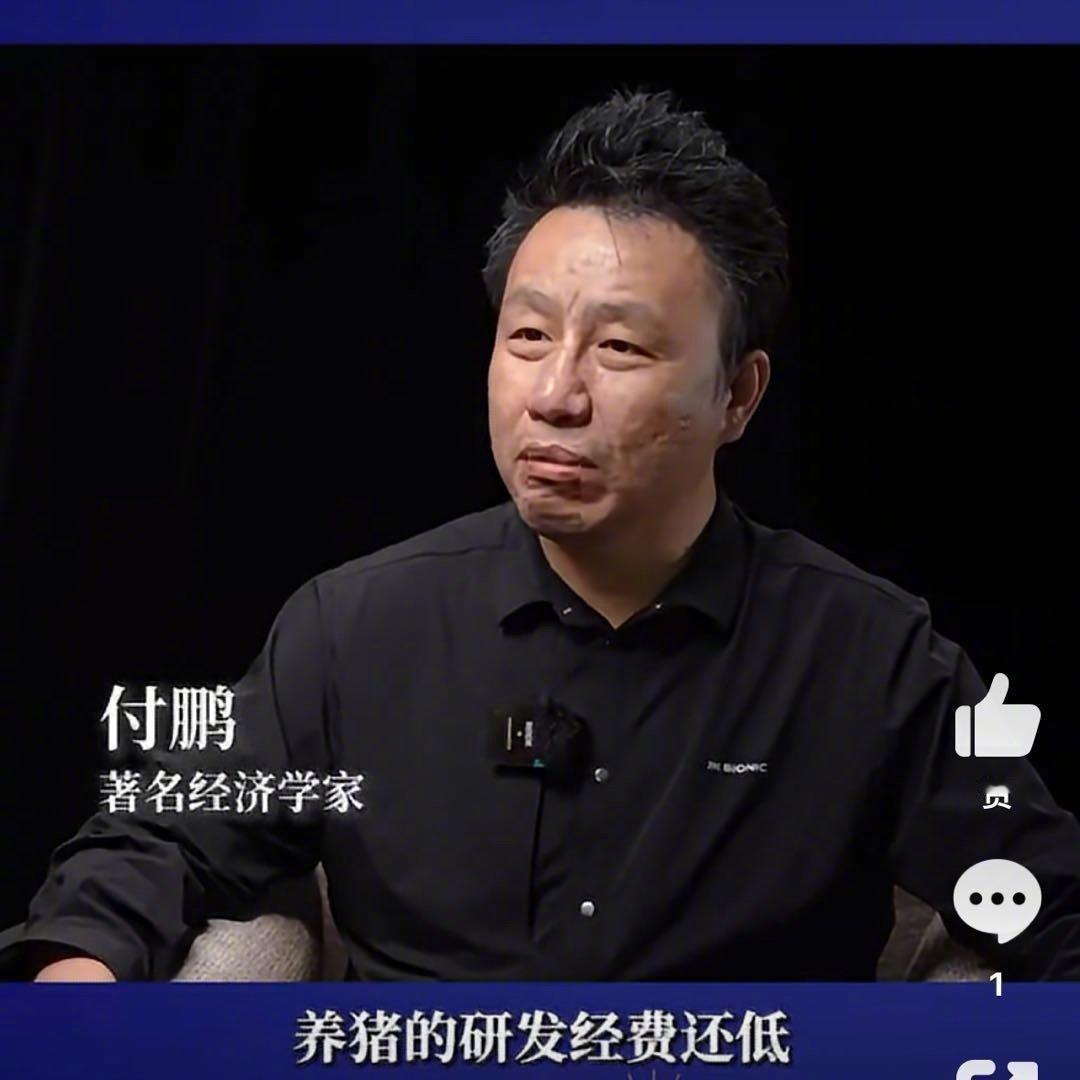 付鹏这话太狠：宇树科技研发费还不如牧原养猪的十分之一，人形机器人是笑话？

付鹏
