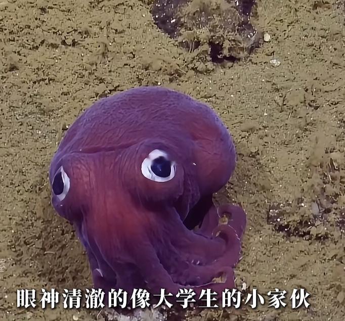 送你们一个表情包哈哈哈哈 