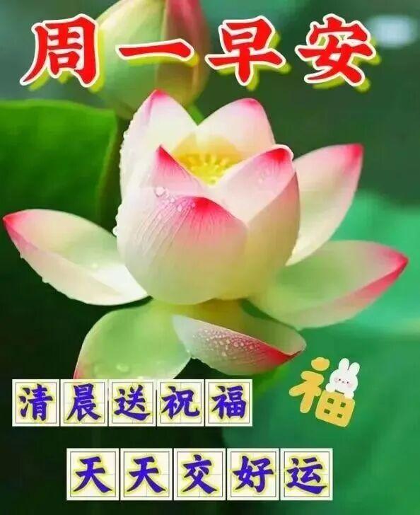 最好的光景，就是老友常在、温暖常在；最实在的祝愿，就是你安好、我安好、大伙都安好
