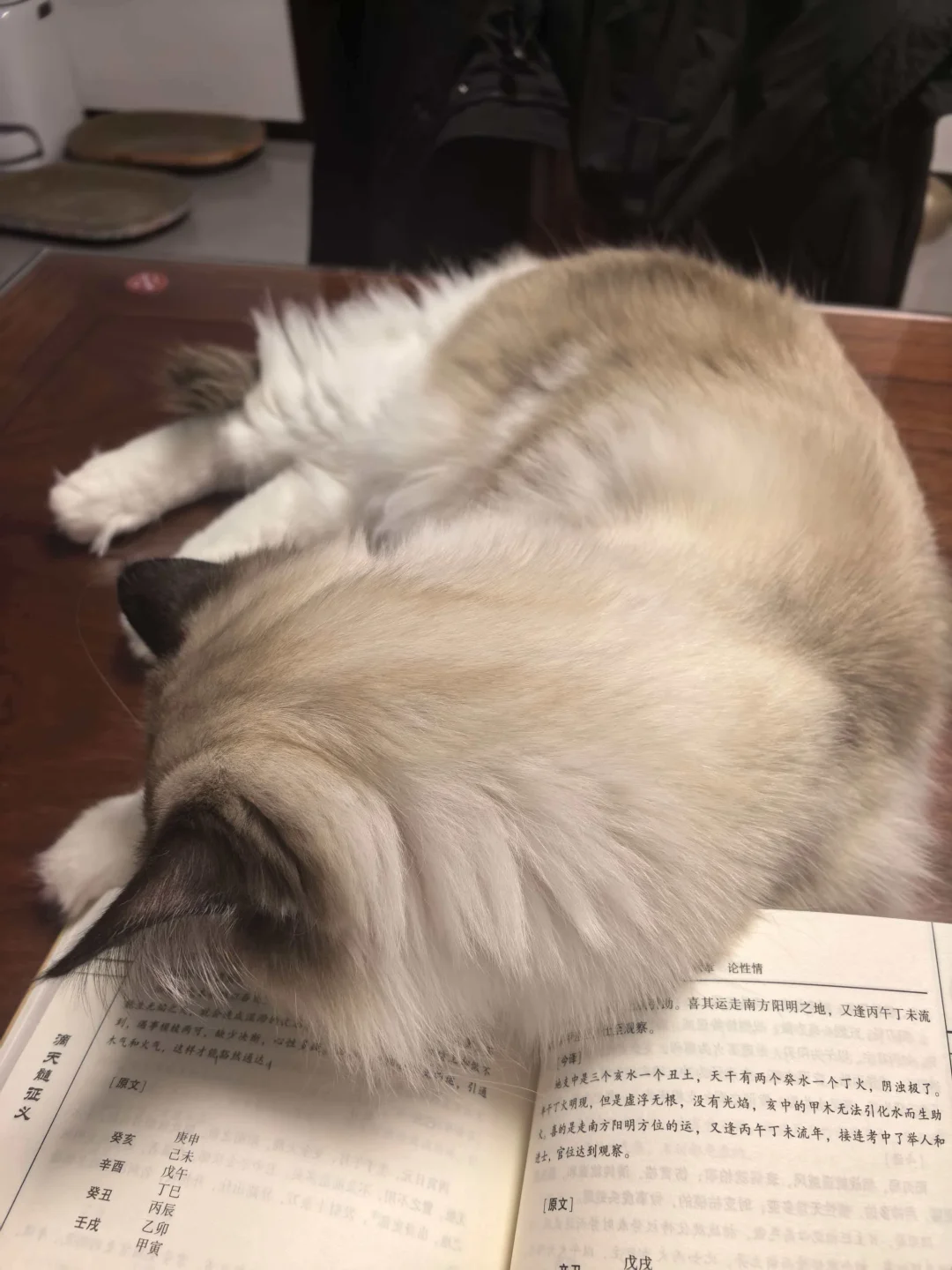 看不进去书，本质上是因为自己的精神状态，完成不了一个通过启动认知，并获...