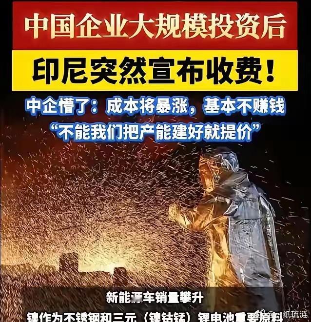中国花140亿美元帮印尼建成全球镍都，印尼反手涨价，第二天跟日本签了军火协议。咱
