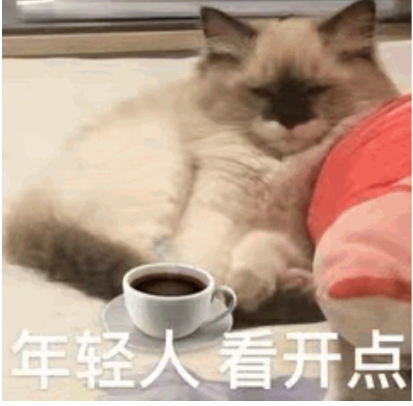 微信你把我耍得团团转我以为就我一个人设置了还能有提醒，结果原来大家都一样 哈哈哈