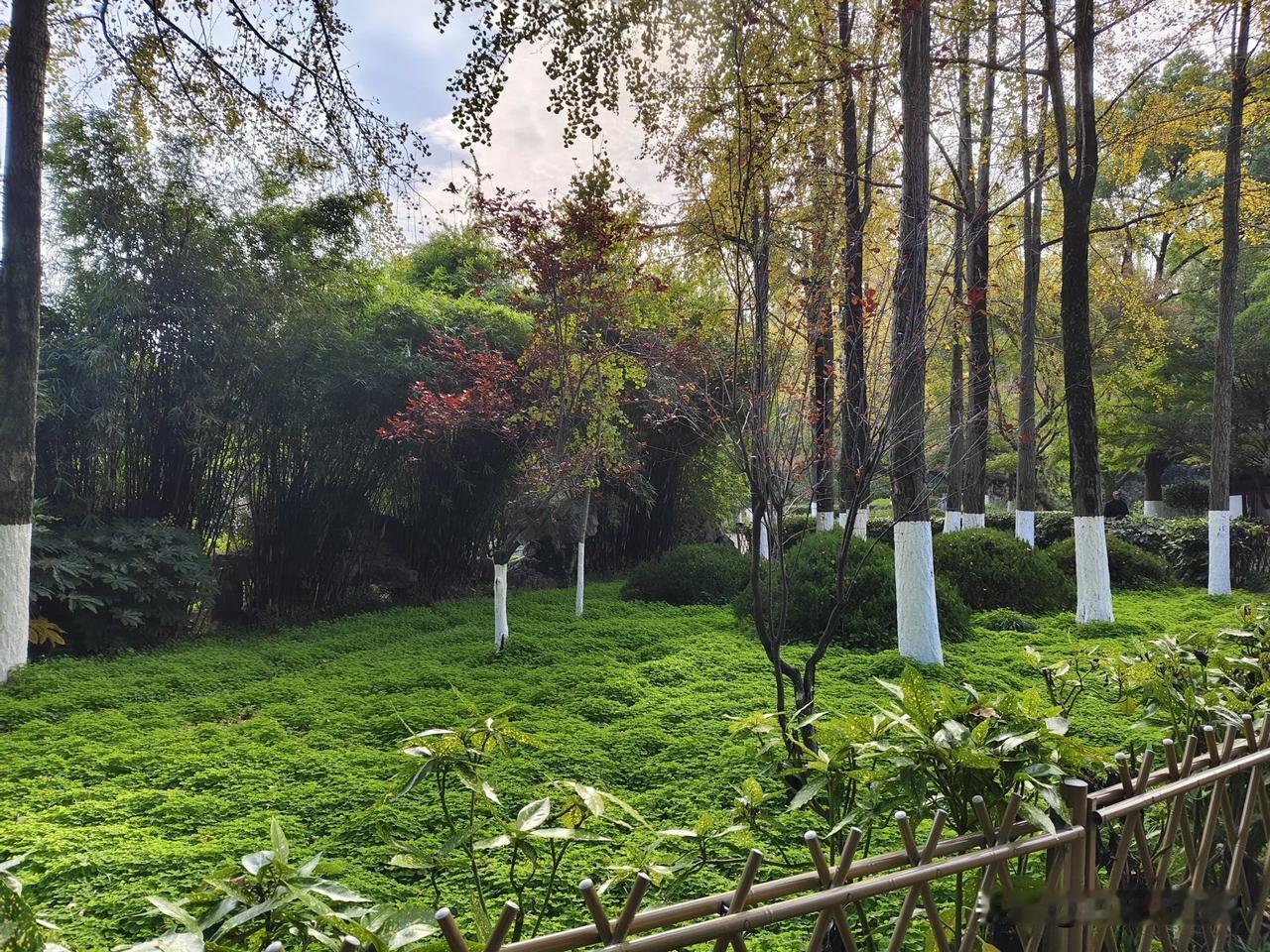 [祈祷]人一旦身体有病是必须治疗，否则久拖成疾，可能会致命！[庆祝]
反观社会有
