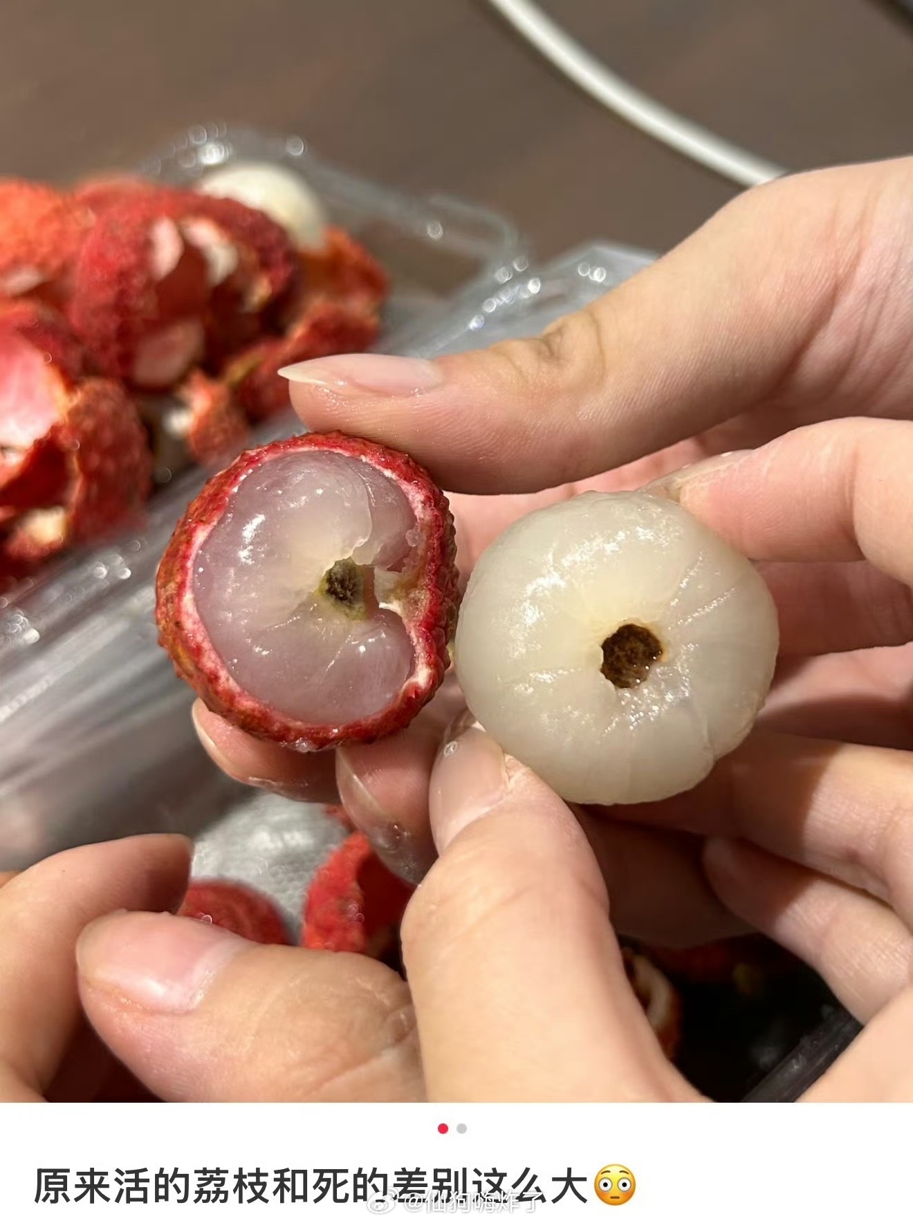 活荔枝 死荔枝终于分清了，荔枝自由不等于新鲜荔枝自由。市面上荔枝随处可见，原汁原
