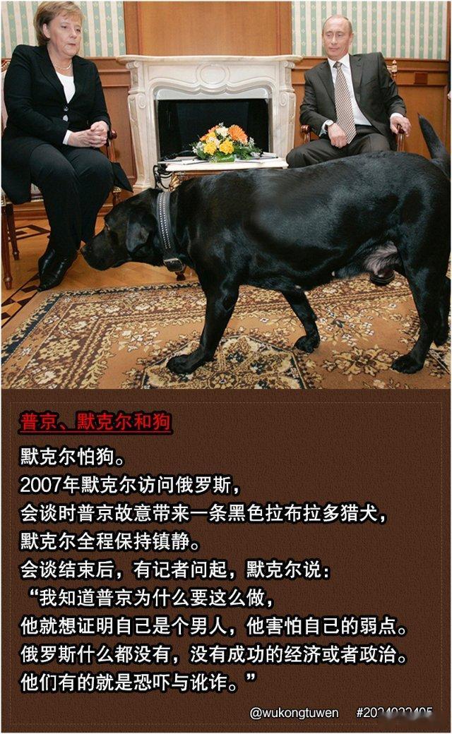 [围观][围观][围观] ​​​