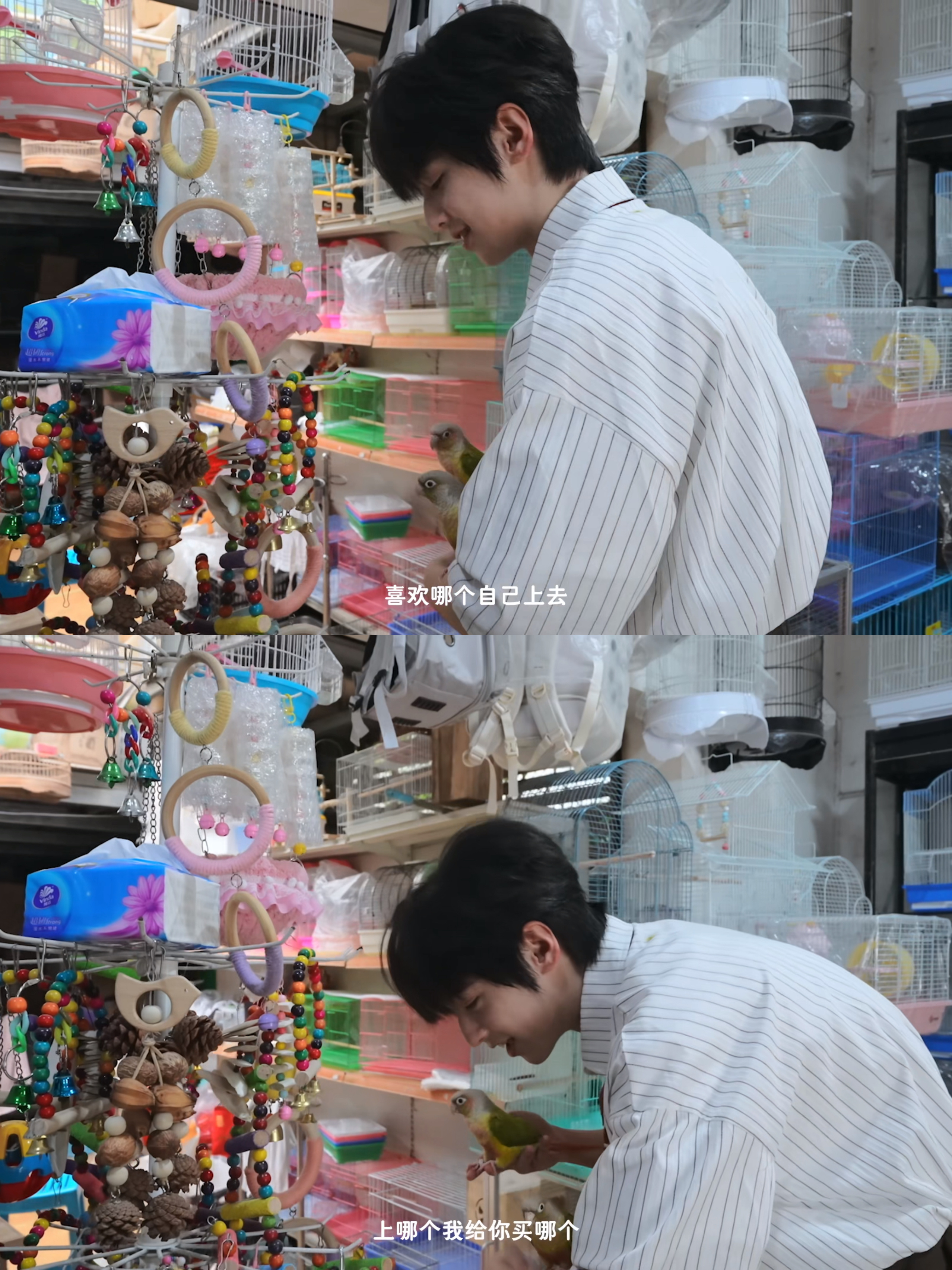我们涵博是霸总… 