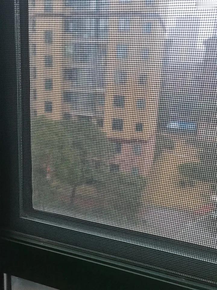 为什么都期待下雪，喜欢下雪？因为下雪可以在户外玩耍，毕竟南方下雪很少，同时也意味