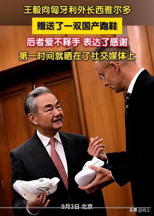 王毅外长送匈牙利外长安踏C10Pro，
这可不是简单的相互之间礼物的交换！
这双