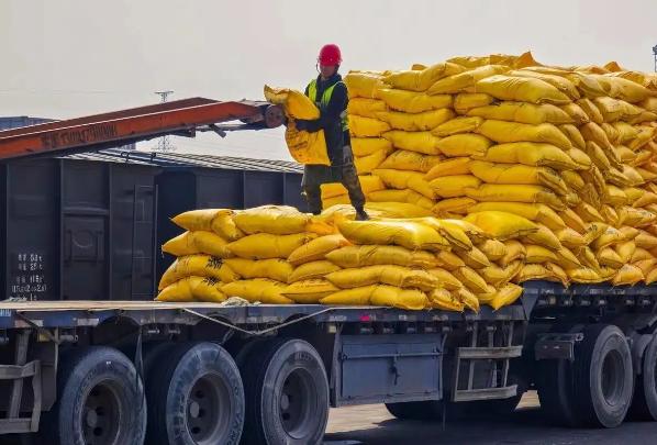 被中国养起来的“白眼狼”，转头就冲中国咬了一口！

很多人这两年都注意到一个越来