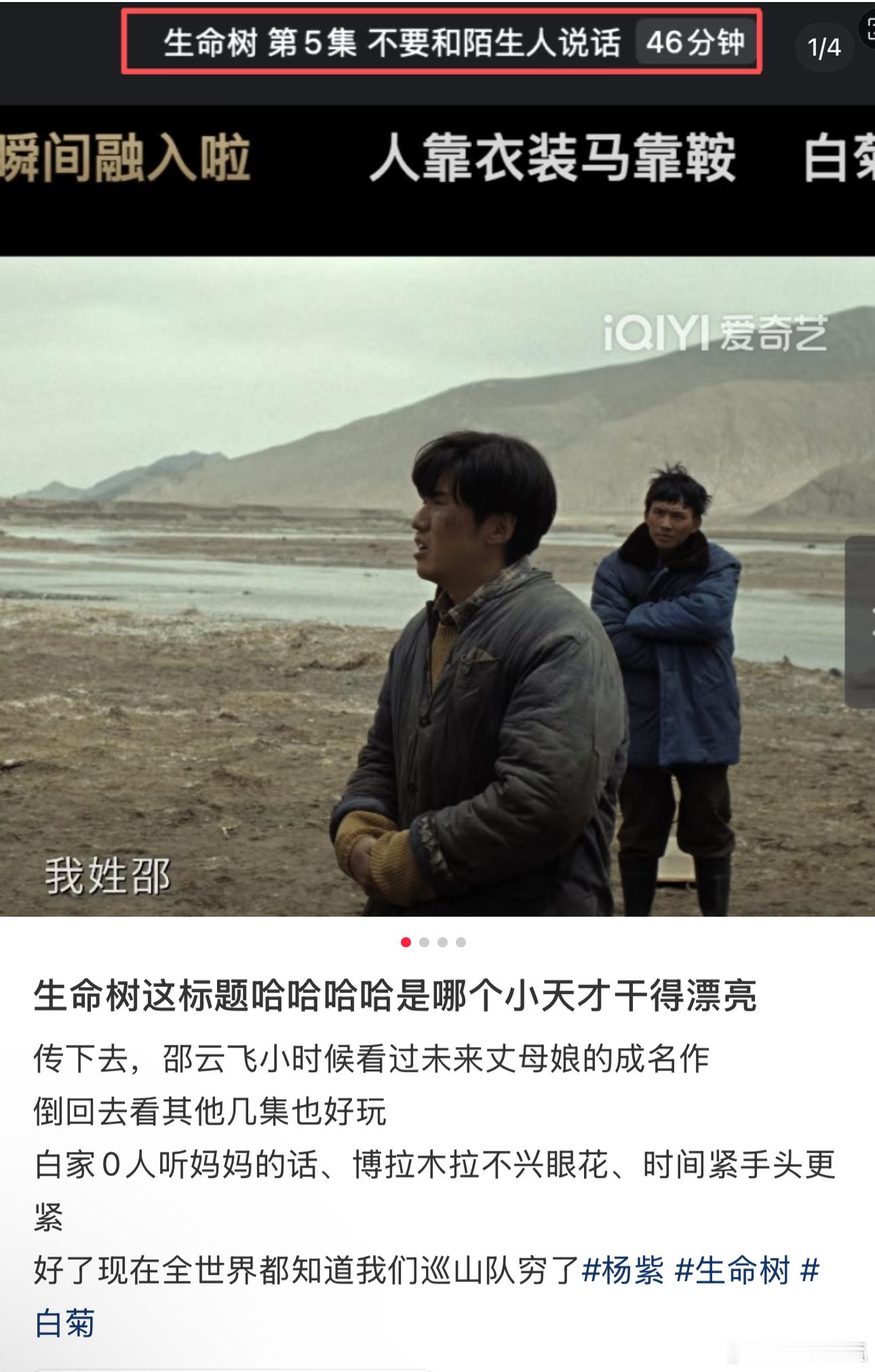 00后混入生命树了 谁被生命树的分集标题笑到，cue梅婷经典剧、玩梗押韵样样来，