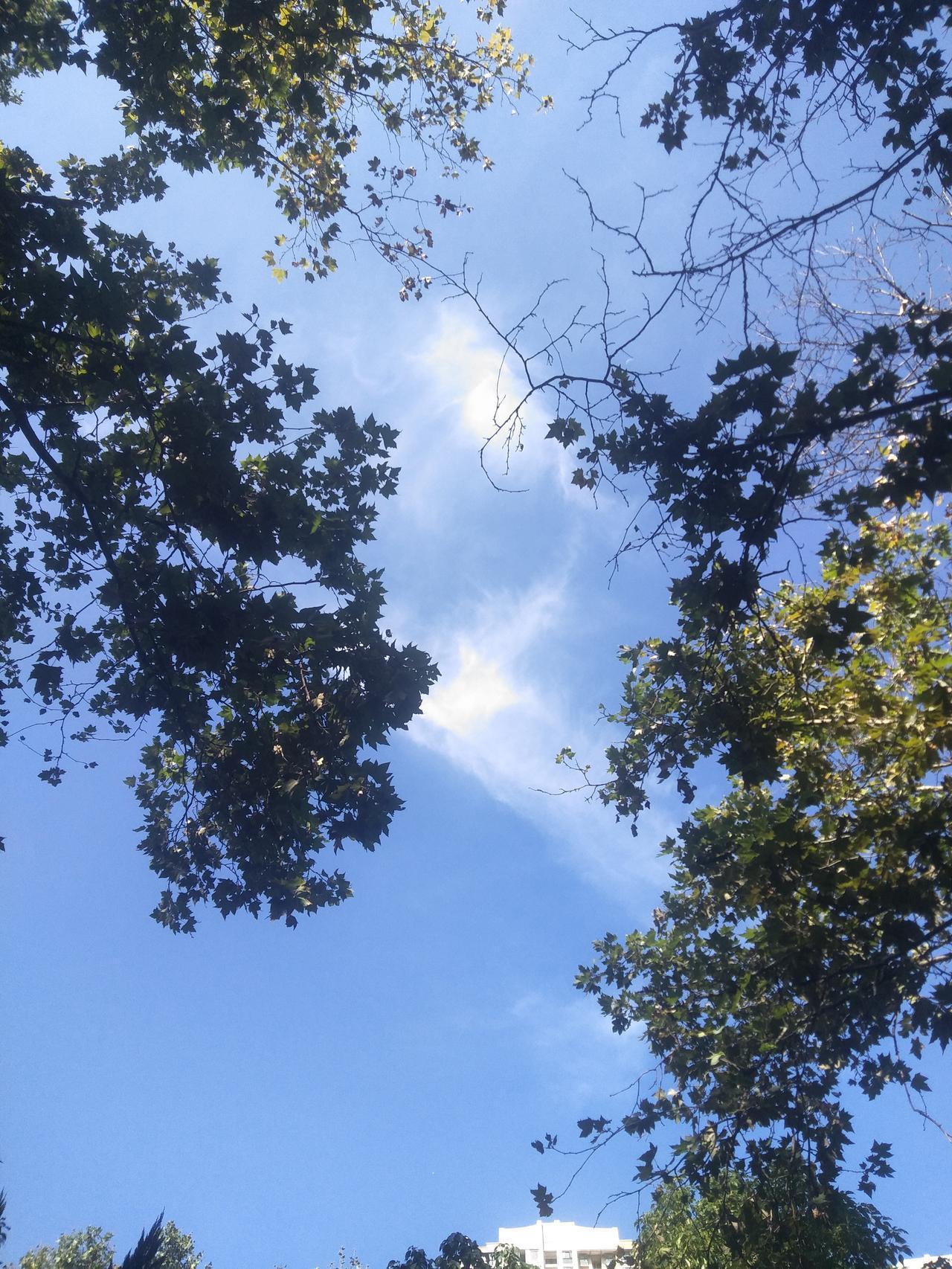 一位外省来云南旅游的外省朋友听到云南人抱怨，好久不见蓝天白云了。

他觉得奇怪，