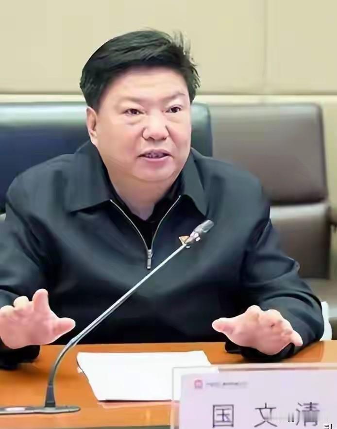 五矿原总经理国文清投案了，消息一出，不少人立马联想到那座矗立在印度的全球最大高炉