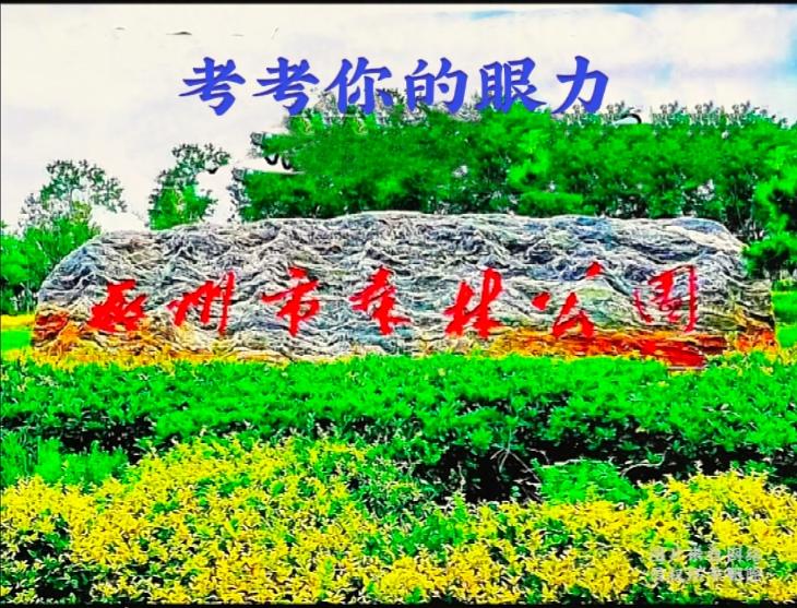 公园石刻大字，我居然认不全

这块景观石上的红色大字，我盯着看了好久，好多笔画连
