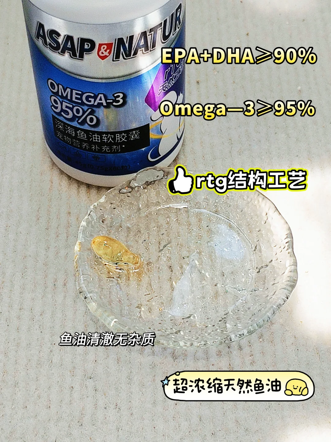 每日一粒鱼油丨秃秃猫爆改大爆毛小猫🎃