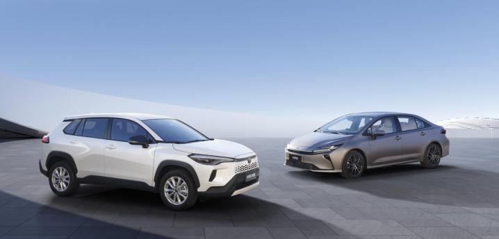 给家人的承诺：卡罗拉家族的安全，是看得见的守护。
春节归途，承载着团圆的期盼，而