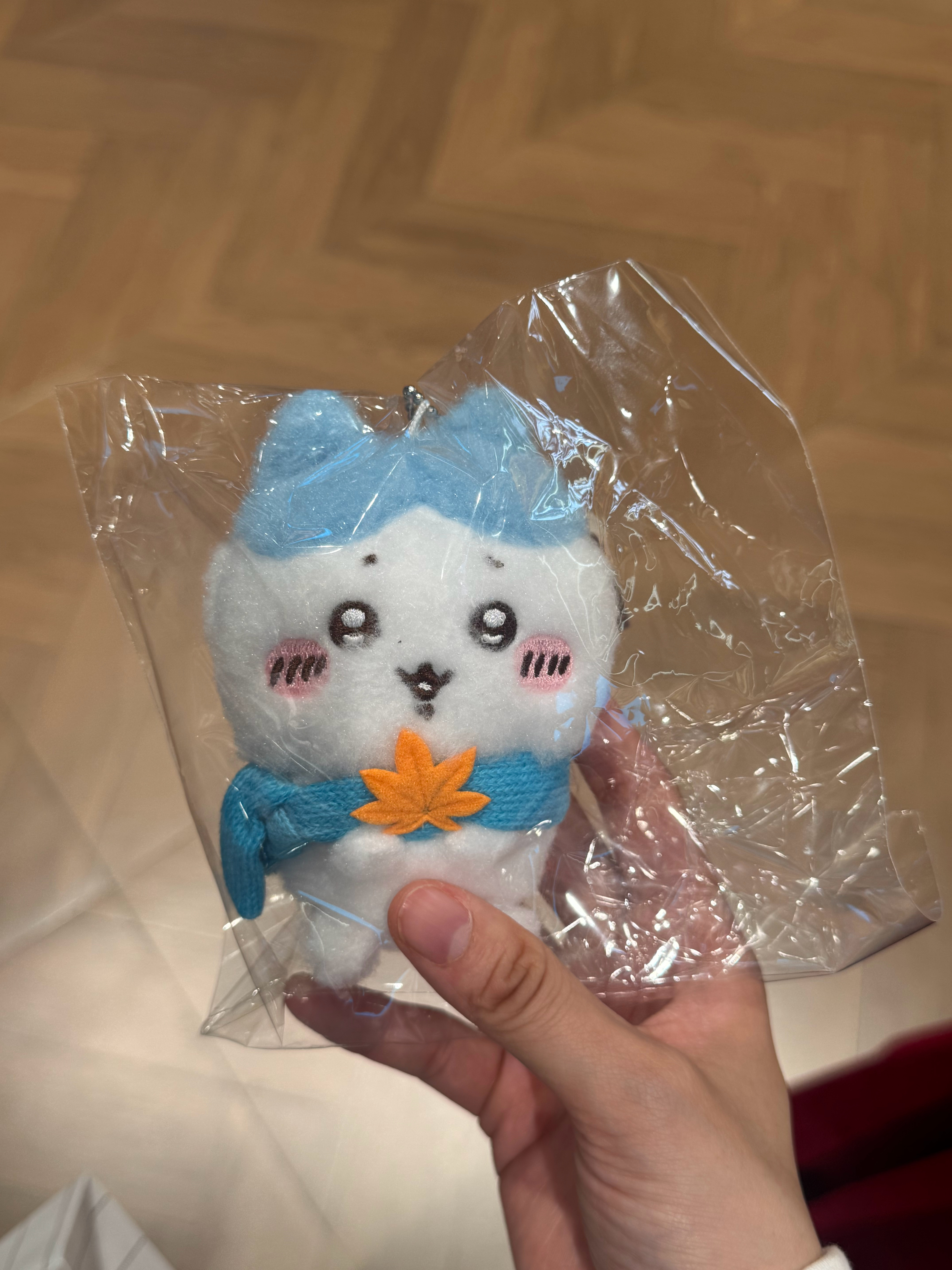 暗恋一入 