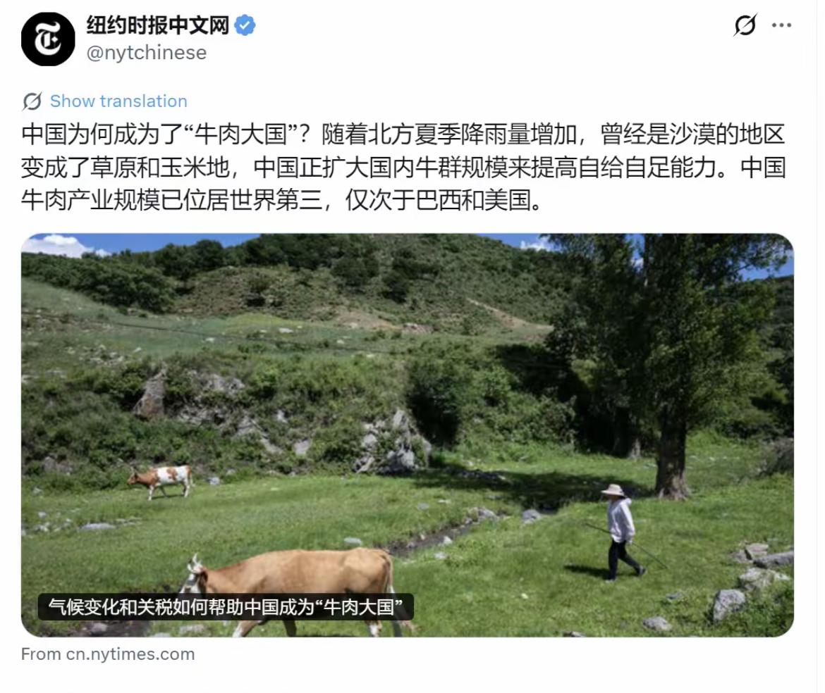 纽约时报中文网今天（7月30日）写道：“中国为何成为了‘牛肉大国’？随着北方夏季