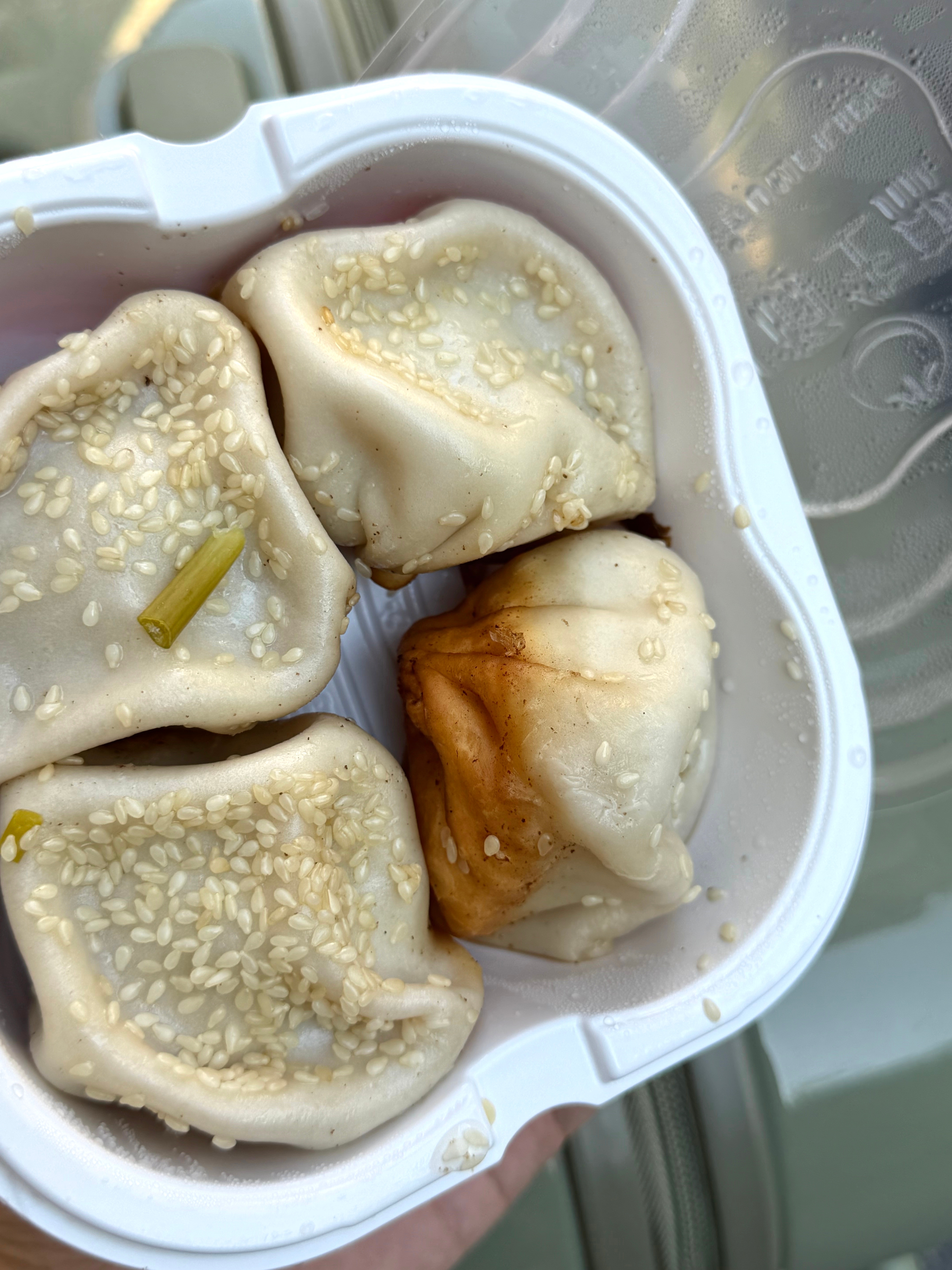 我终于又吃上小杨生煎了 