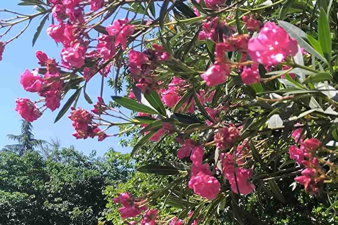 我的今日状态：😁轻松愉快
我这里的天气：☀️晴天