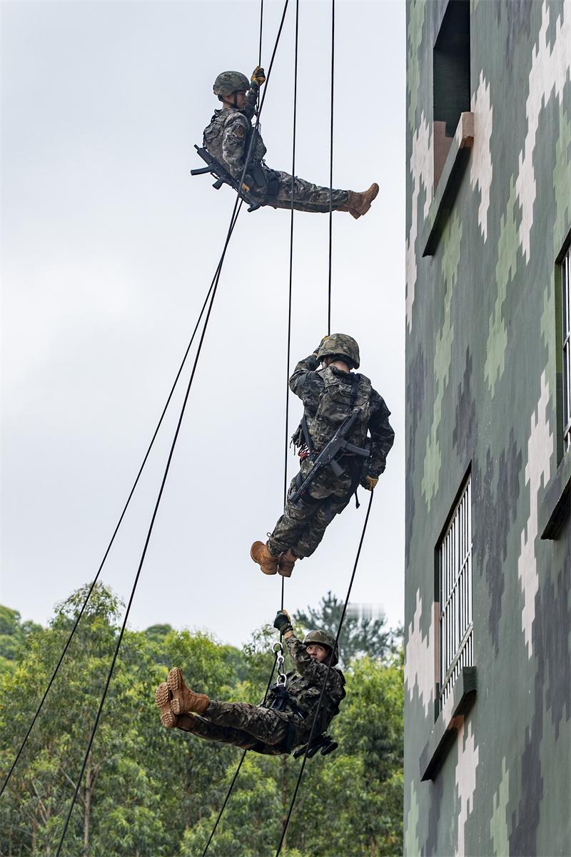 无论什么时期，无论哪个国家，军人都以服从命令为天职。对于日常管理等与国家兴亡、军