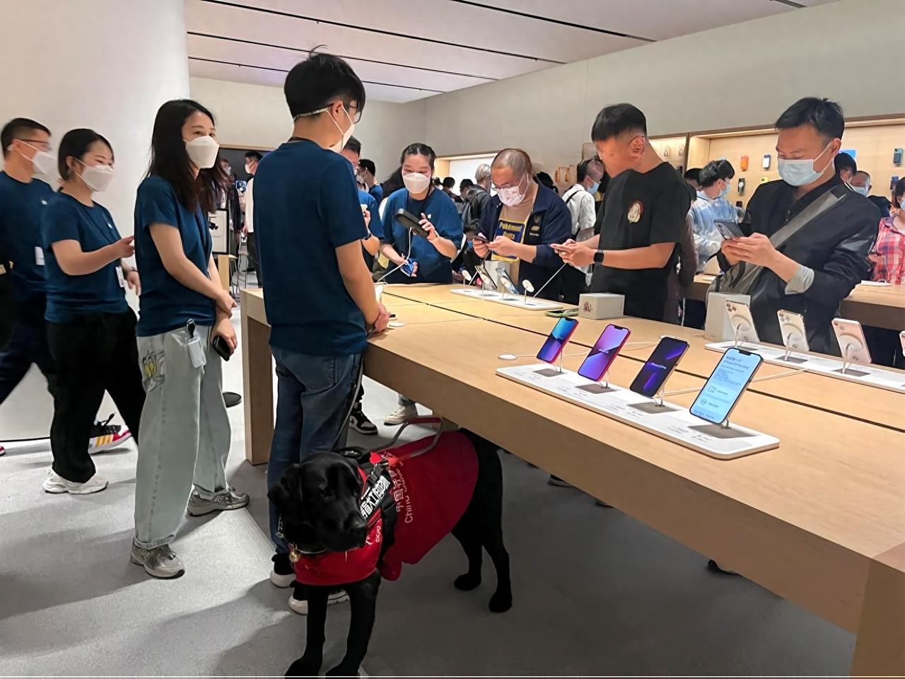 iPhone17系列虽引爆排队热潮，但一半都是黄牛演技🐮！警惕这些