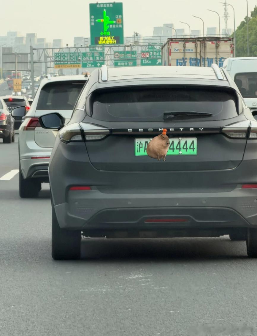 这算不算是靓号呢？ 