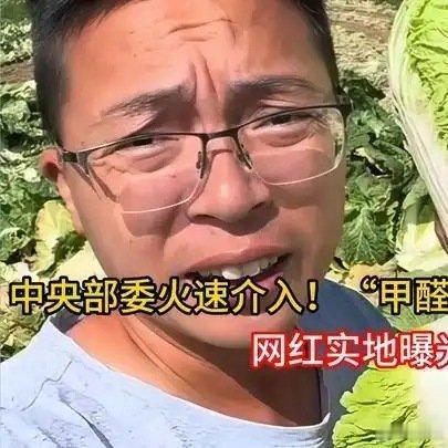 《热爆趣创赛中央部委火速介入！“甲醛白菜”暴利横行12年，网红实地曝光乱象》热爆