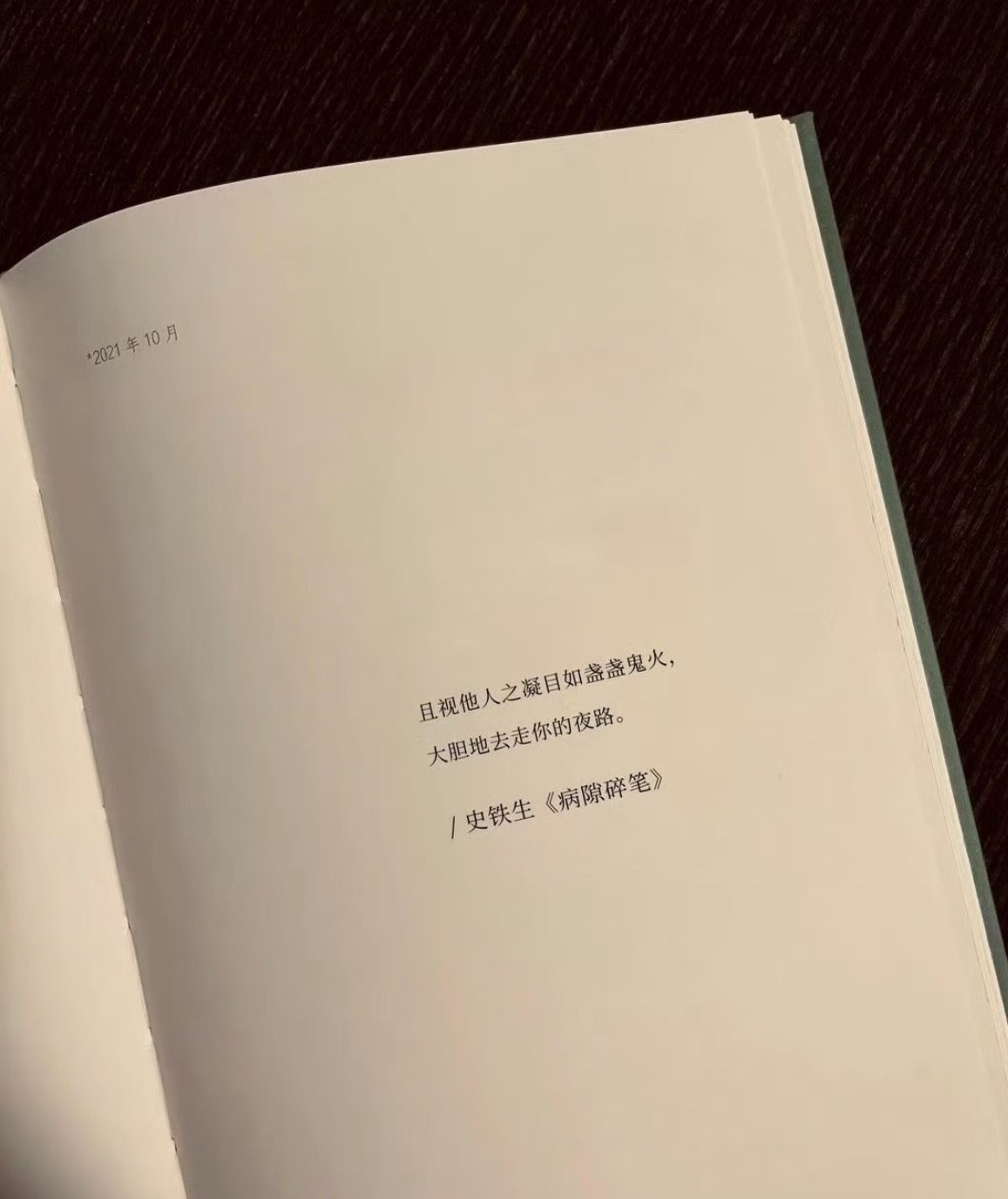 且视他人之凝目如盏盏鬼火，大胆地去走你的夜路。——史铁生《病隙碎笔》 