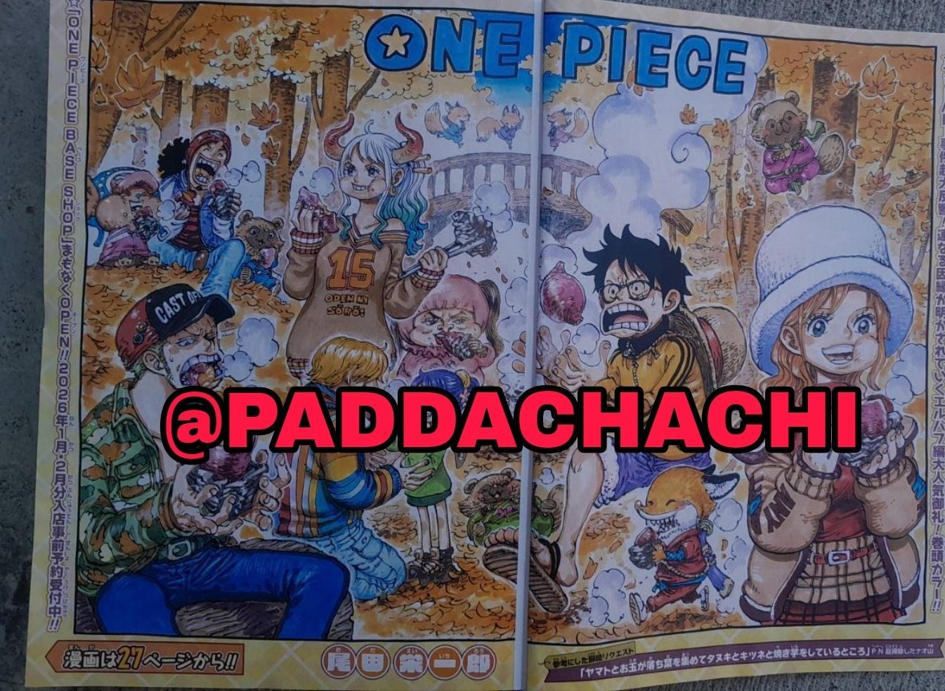 最新彩页预览！大家一起吃烤红薯！！！好欢乐呀