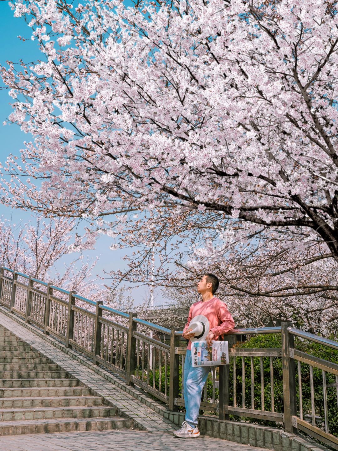 我在南京走花路🌸99%人会错过的赏樱地在这