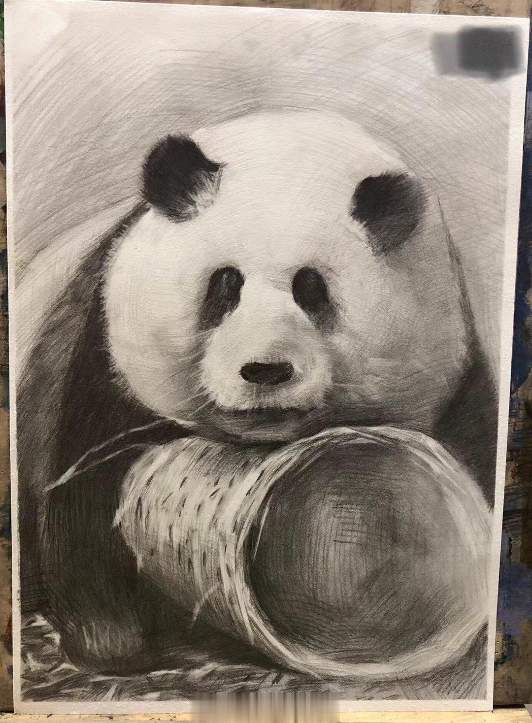 前段时间，有位20+网友来做内镜，说肚子有隐隐痛，胃镜做了没事，肠镜进境看到了大