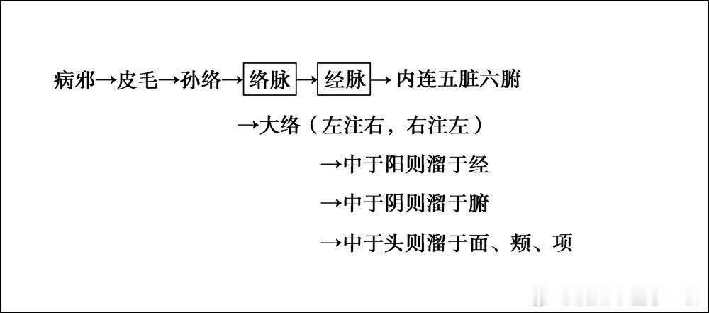 　病邪侵入人体入里传变图 