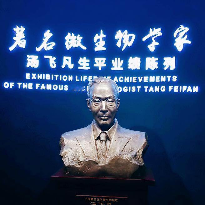 1941年，西方把青霉素列为军事机密，中国老百姓和军人伤口发炎红肿后，往往因为没