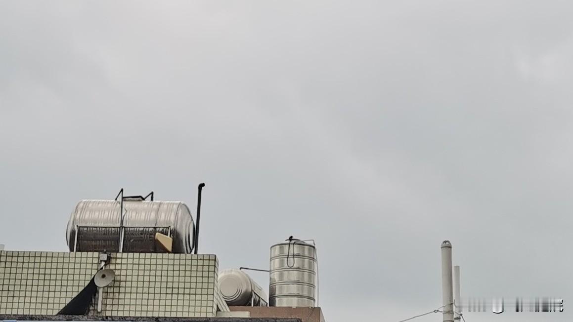 太阳不会去管萤火虫光太弱。太阳活太阳的，萤火虫活萤火虫的。它们的光并没有强弱之分