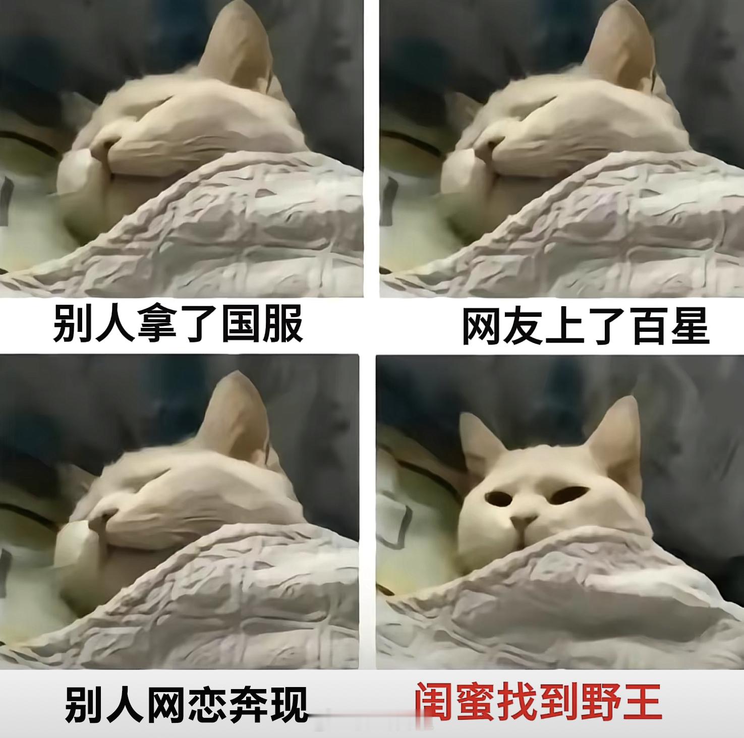 比起网友的成功，闺蜜上分更令人难受[doge]#王者荣耀# ​​​