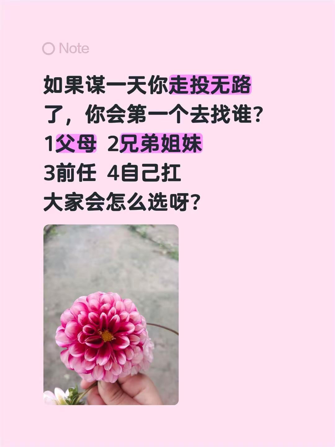 如果是你你会怎么选择