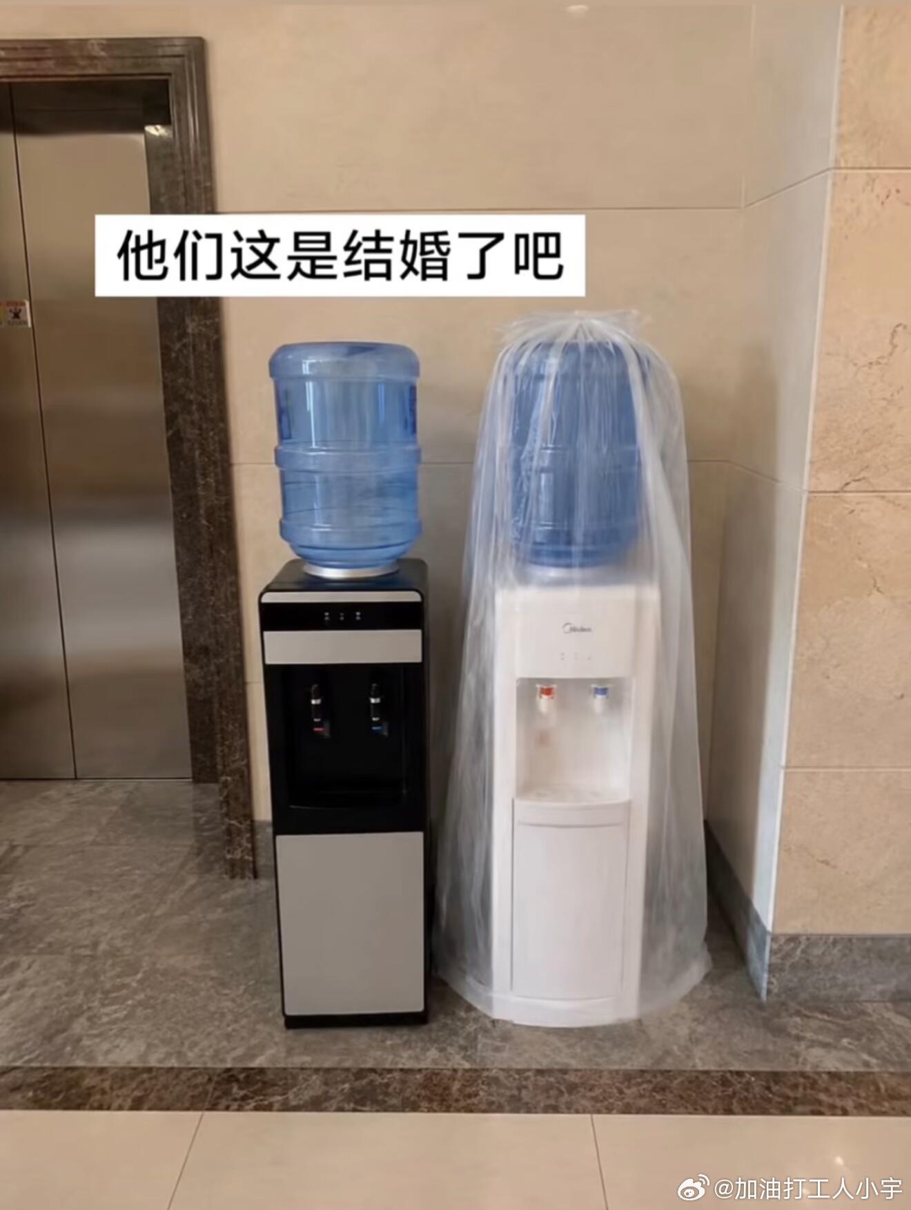 它们这是结婚了吗？ ​​​