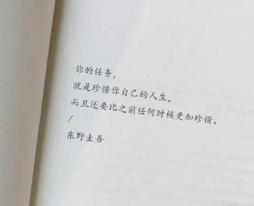 你的任务， 就是珍惜你自己的人生， 而且还要比之前任何时候更加珍惜。  ——东野