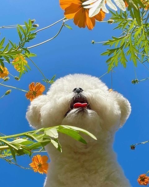 转后，发生这个月最美好的事情。 
