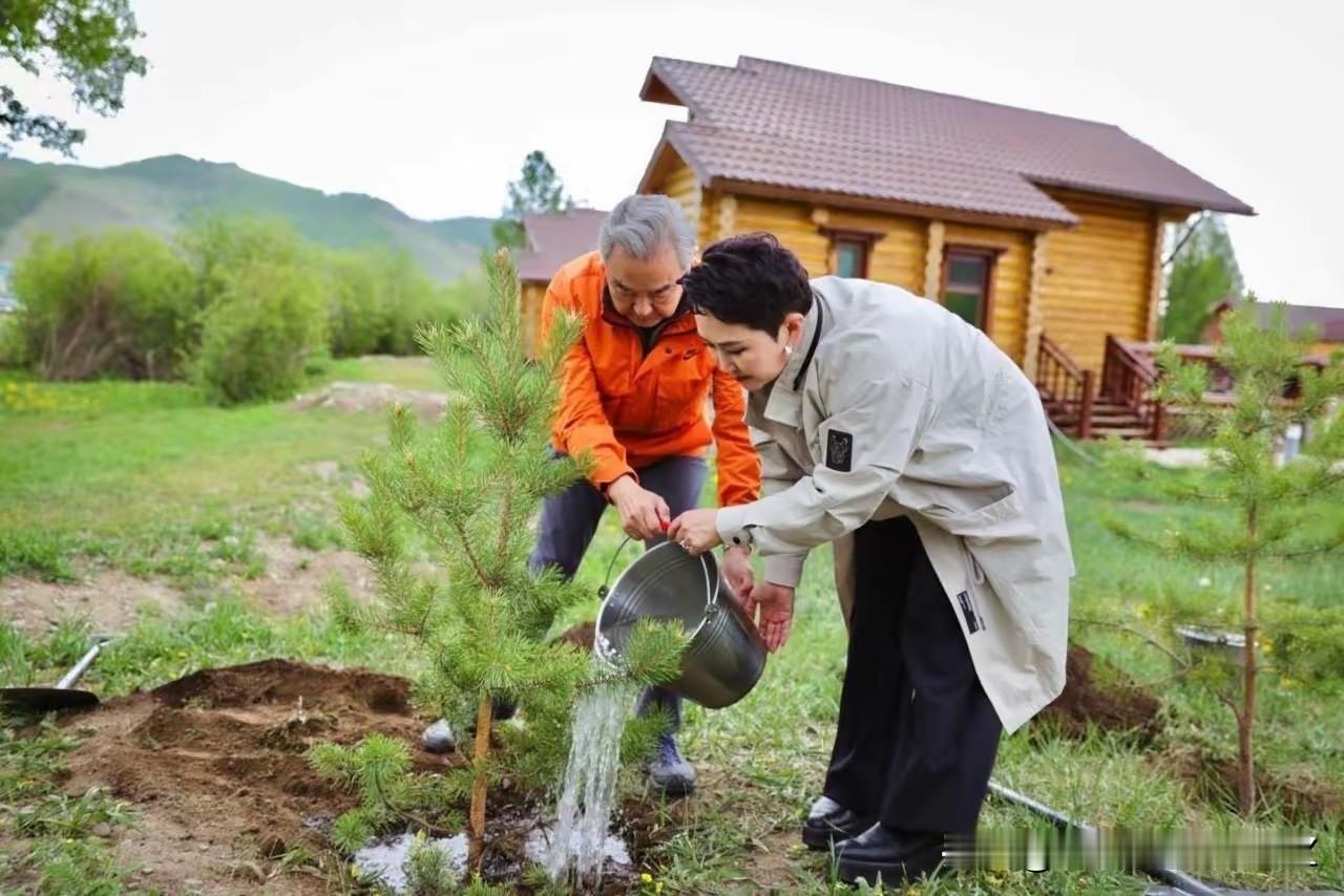 王毅外长此次到访蒙古国，和蒙古外长巴特策策格一起上手栽松树浇水的实拍图全网传开，