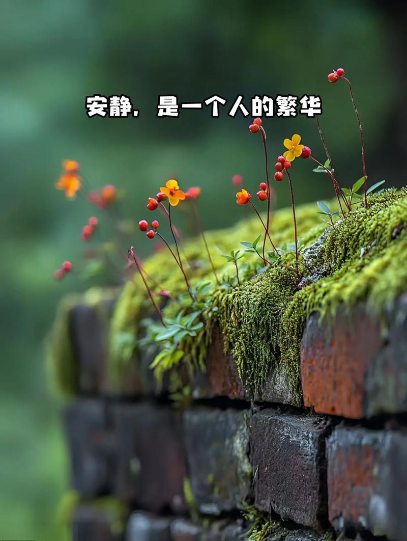 最近很火的一段话:“你嘴有多松,命就有多苦,你话多,说明你蠢,你话很多,说明你很