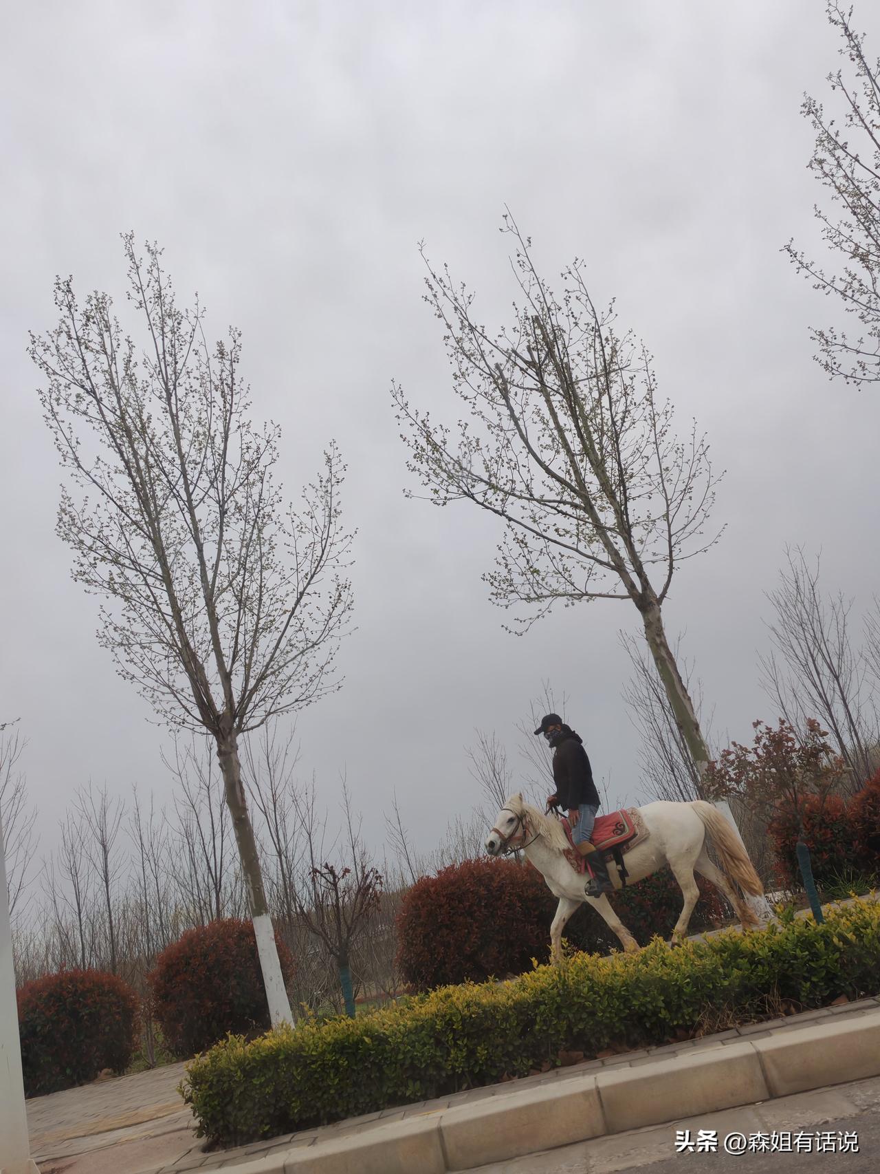 3月30日，坐标西安。昨天我跟着刚哥的马队去玩，一天跑了70多公里，收获满满。