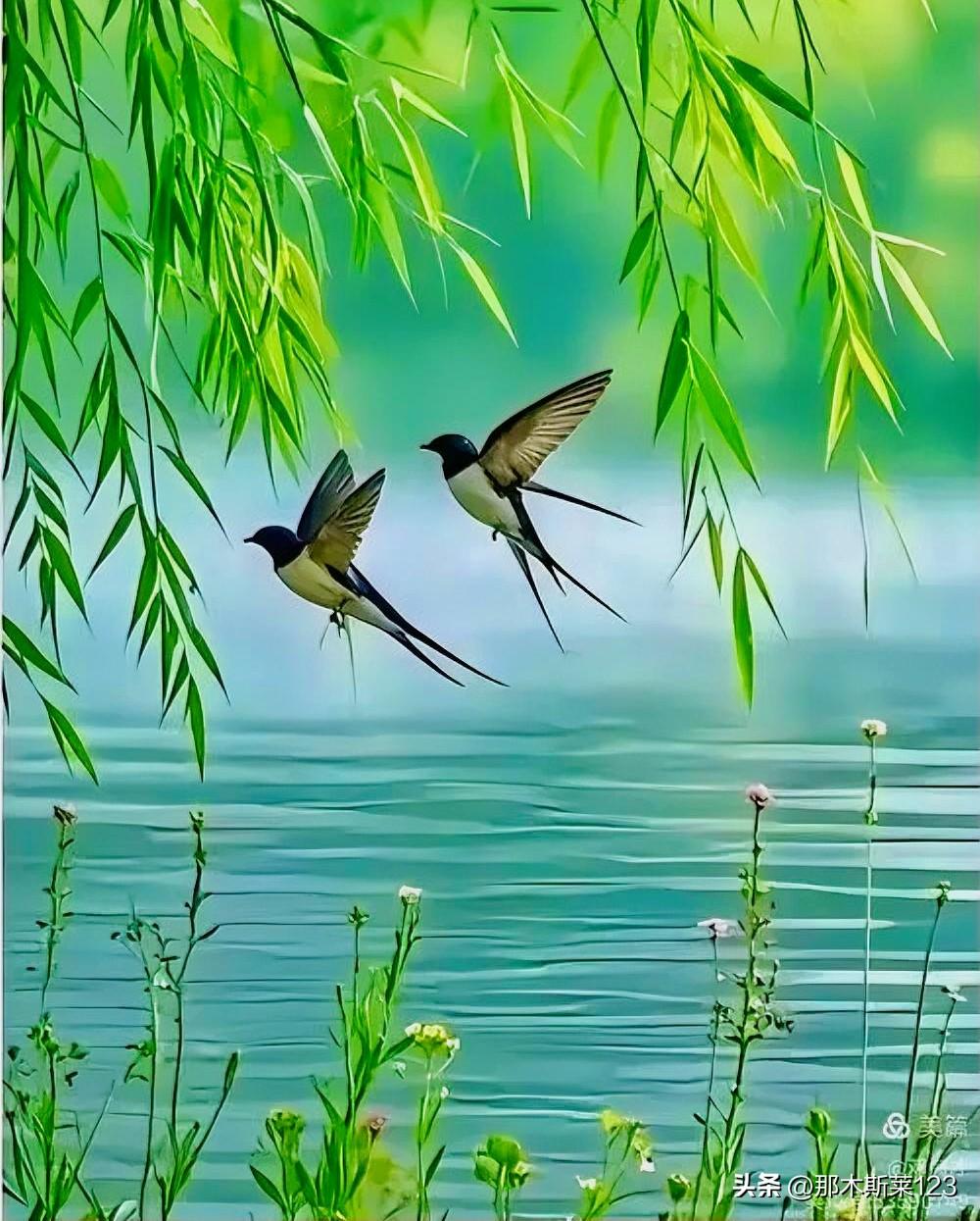 上联:桃花遍野待人赏(头条)
下联:柳叶盈枝期燕撩(原创)
(网图侵删)